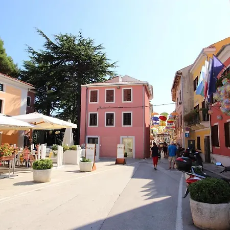 Elena, 100 M From The Apartamento Novigrad Istria