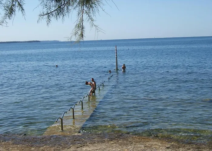 Apartmán Elena, 100 M From The Novigrad Istria