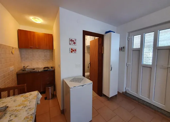 Apartmán Elena, 100 M From The Novigrad Istria