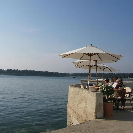Elena, 100 M From The Apartment Novigrad (Istria)