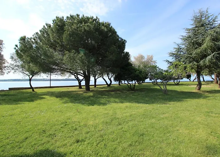 Elena, 100 M From The 아파트 *