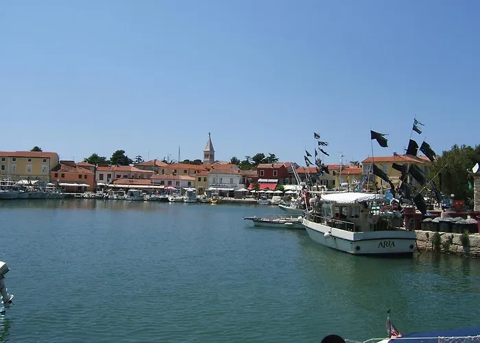 Elena, 100 M From The Novigrad Istria