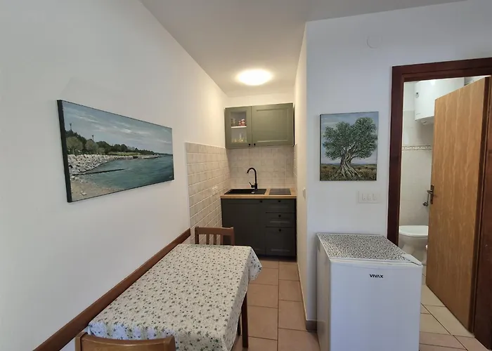 Apartamento Elena, 100 M From The Novigrad Istria