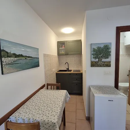 Appartement Elena, 100 M From The Novigrad Istria